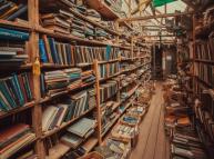 الأدب العربي في عيون المستشرقين الروس  (قراءة في كتابات كراتشكوفسكي)