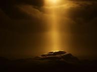 دراسـة فـي النبــوّة 