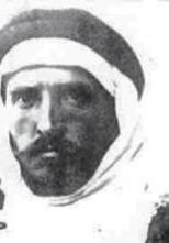 الويز موزيل