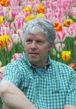 بيم فالكنبرج