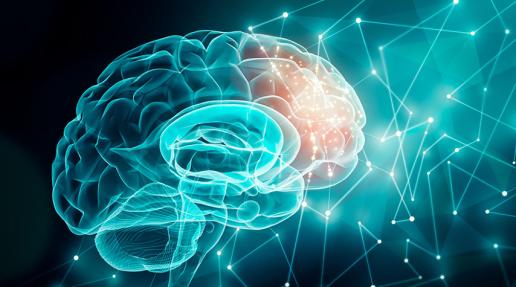 أنطولوجيا العقل الغربي قامت على الفصل الحاد بين الطبيعة والوحي