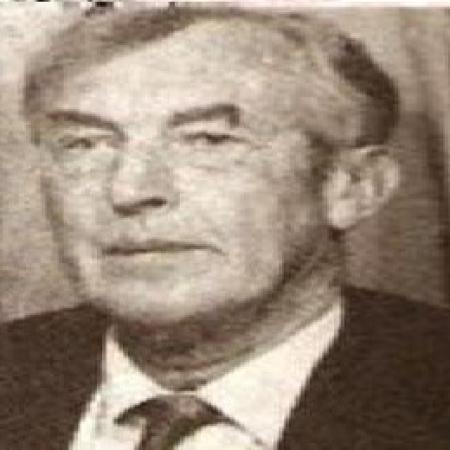 هنري ساغس