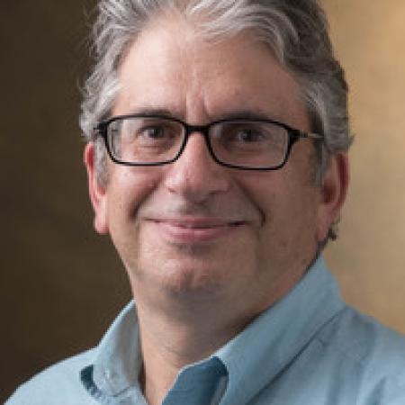 ستيف تاماري